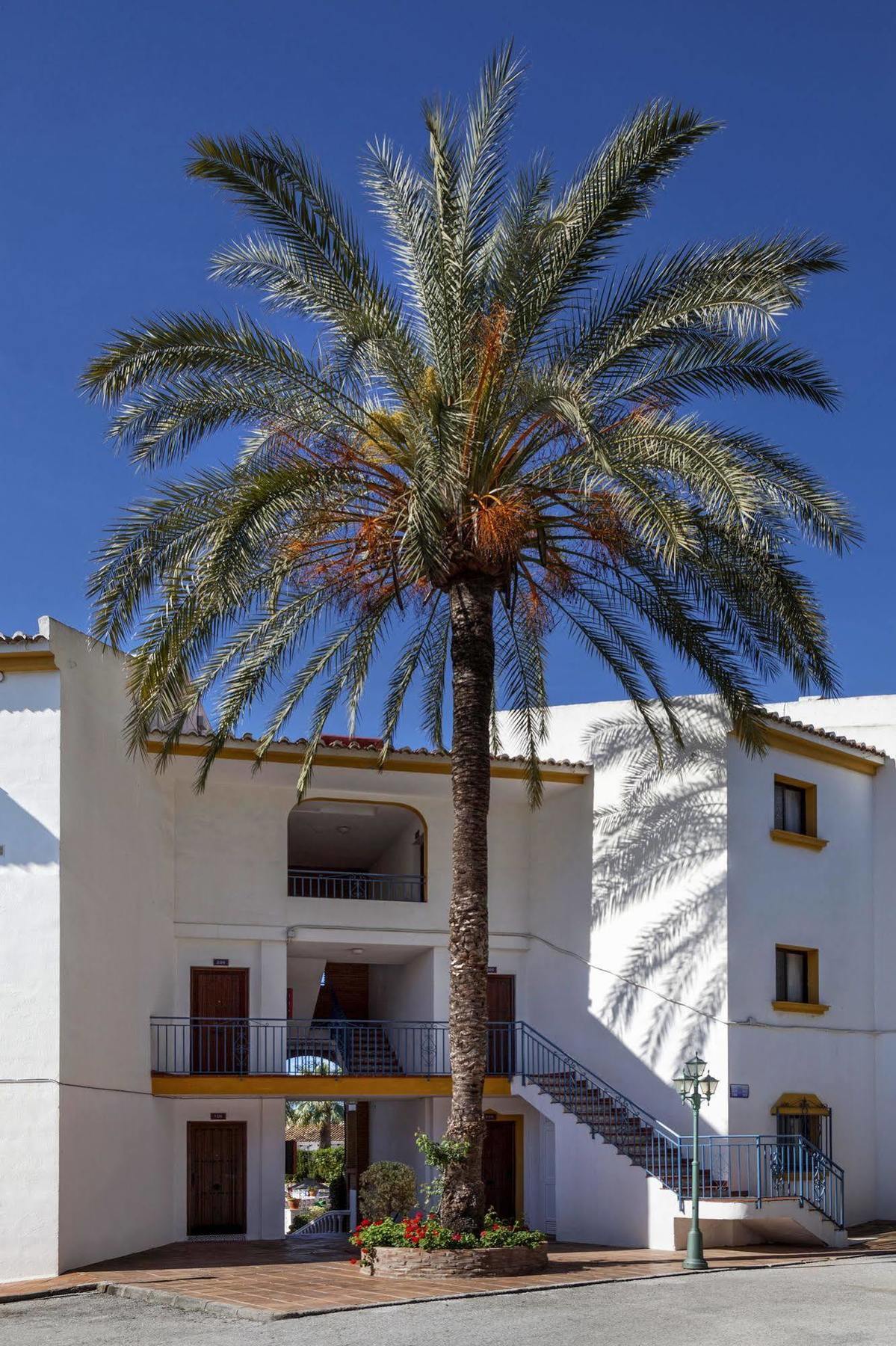 Crown Resorts Club La Riviera La Cala De Mijas Dış mekan fotoğraf